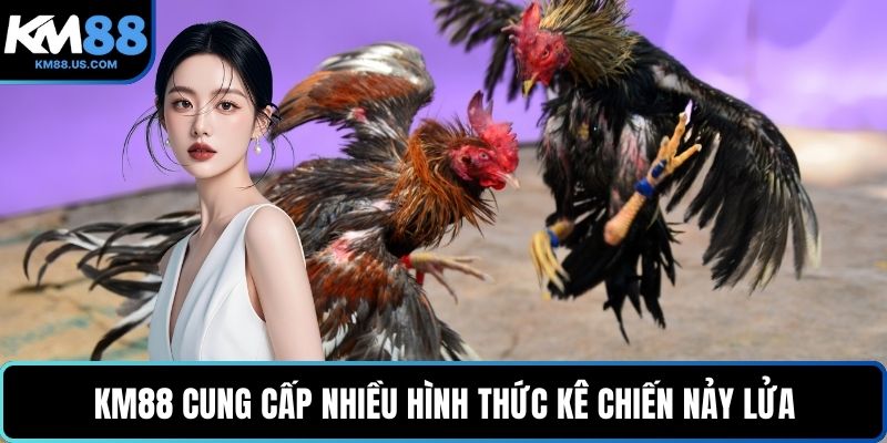 KM88 cung cấp nhiều hình thức kê chiến nảy lửa